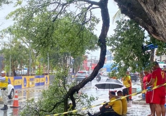 Mulher é atingida por galho de árvore e fica ferida na Pajuçara em Maceió