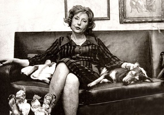 Feira Digital do Livro terá 18 horas de programação on-line e homenagem à Clarice Lispector
