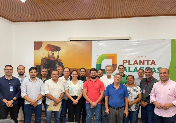 Alagoas possui mais de 20 mil estabelecimentos agropecuários produzindo mandioca