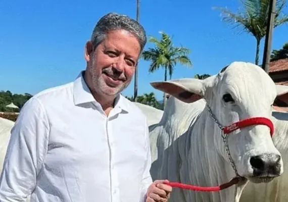 Arthur Lira fatura R$ 4 milhões em leilão de gado Nelore em Alagoas