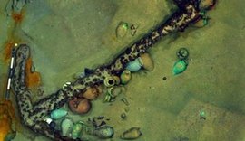 Tesouro romano submerso há 2 mil anos é encontrado em lago na Suíça