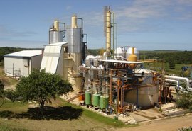 Pindorama deve iniciar safra da cana em agosto