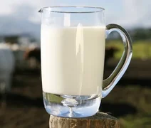 Custo da atividade leiteira está 11,2% maior na comparação anual