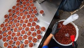 BNB financia R$ 9,22 milhões para pequenos negócios em Alagoas