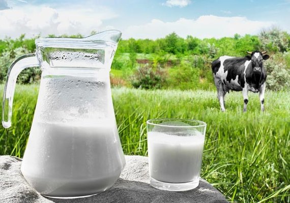 A importância do consumo e produção leiteira em AL