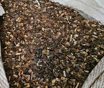 Fiscalização apreende mais de 21 toneladas de café irregular em compras públicas no Paraná