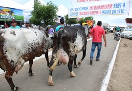 Lançamento oficial da 40ª Expo Bacia acontece dia 19