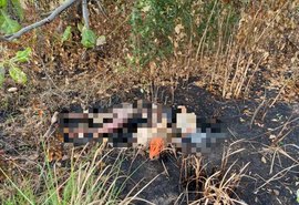 Corpo carbonizado é encontrado por populares em povoado de Marechal Deodoro
