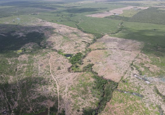 Áreas maiores que 1400 campos de futebol são embargadas por desmatamento em AL