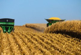 Produção agrícola pode diminuir se onda de calor continuar em AL, aponta engenheiro agrônomo