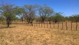 Seca faz três cidades alagoanas entrarem em situação de emergência; veja