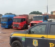 PRF apreende carga de 31 mil tijolos sem nota fiscal em Alagoas