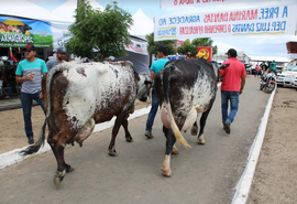 36ª Expo Bacia Leiteira terá feira da agricultura familiar