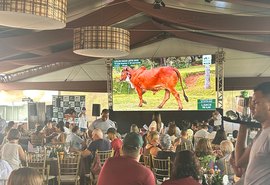 Leilão Mais Leite valoriza genética gir e girolando e faz média animal de quase R$17mil