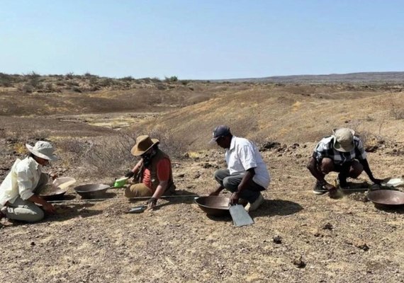Estudo revela que hominídeos já usavam técnicas de açougue há 1,6 mi de anos