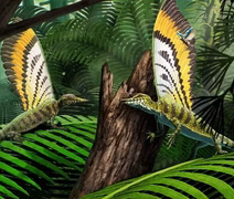 Pesquisadores descobrem fóssil de réptil com penas