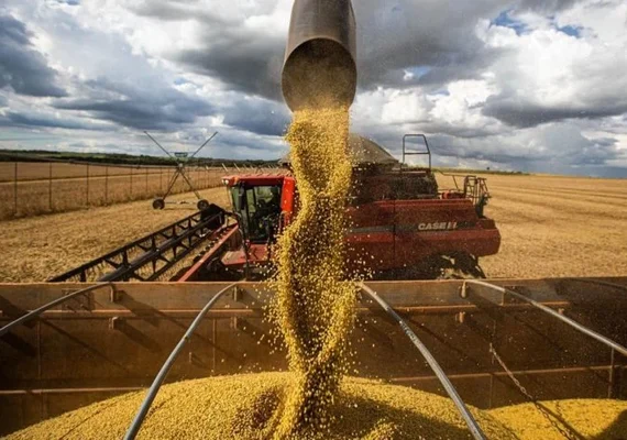 Projeto tenta tornar o agro a marca do Brasil