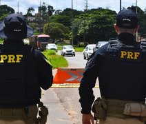 Mais de quatro toneladas de carcaça de bovídeos são apreendidas na Grande Maceió