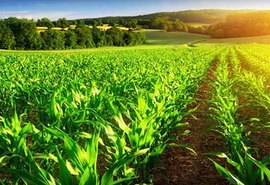 Ipea prevê crescimento maior do PIB do setor agropecuário