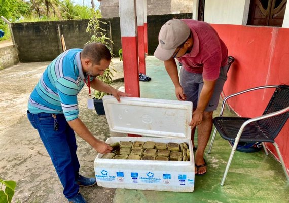 Agricultores de Penedo doam alimentos para desabrigados pelas chuvas