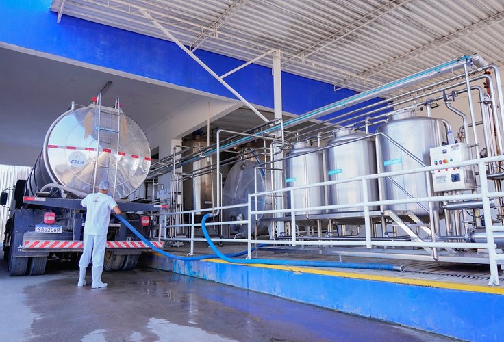 Batalha vira maior polo leiteiro da região Nordeste