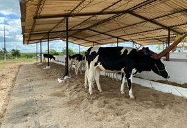 39ª Expo Bacia começa nesta quarta (14) com grande expectativa de público e negócios