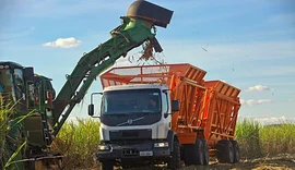 CMAA tem moagem de cana e lucro recordes em 2021/22, com quase 8 mi de toneladas processadas