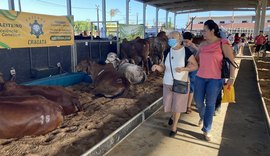 Expoagro-AL prepara edição focada no fortalecimento da pecuária