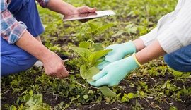 Pesquisa revela que profissionais do agro tiveram aumento salarial em 2022