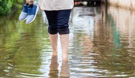 Leptospirose: Maceió registrou neste ano 15 casos da doença; saiba como se proteger