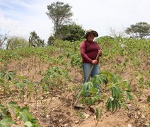 Agricultura anuncia prorrogação de pagamento de boletos do Garantia-Safra 23/24