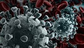 Estado registra mais 674 casos e 21 óbitos pela Covid-19