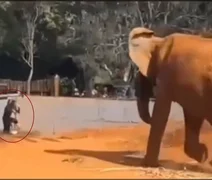 Mulher que invadiu zoológico no DF segue afastada da rede pública