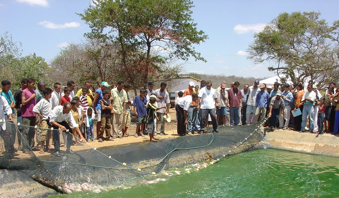 Uso de água salobra pode ampliar produção no Semiárido