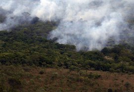 Decreto de suspensão de queimadas não afetará safra de cana em AL