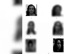 Fotos de deputadas são inseridas em álbum de suspeitos em Pernambuco