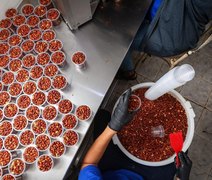 BNB financia R$ 9,22 milhões para pequenos negócios em Alagoas