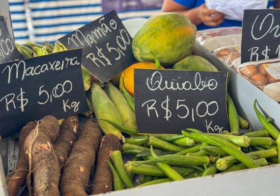 Feira em Murici reúne produtores de 8 municípios