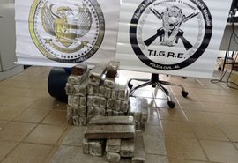 PC apreende 40 quilos de maconha numa casa no bairro Cidade Universitária