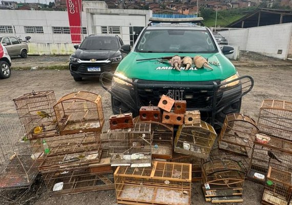 BPA apreende armas e animais silvestres em municípios do interior de Alagoas