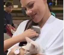VÍDEO: Mulher defende gato que foi agredido com chute no Pará