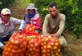 Projeto Lagos do São Francisco leva capacitação a agricultores