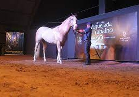 Agro CPMF e Haras Porto Rico promovem 2º etapa do Vaquejada e Trabalho