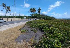 Prefeitura de Maceió descarta resto de asfalto em área de restinga na Orla do Sobral