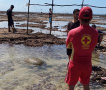 Bombeiros realizam resgate de tartaruga marinha presa ao lado do Marco dos Corais