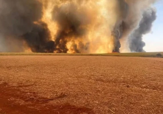 Incêndios já causaram prejuízos de mais de R$ 1,5 bilhão a produtores de cana, diz Orplana