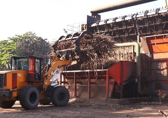 Usinas processaram 5,3 milhões de toneladas de cana