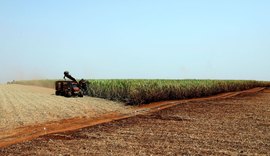 46 novos defensivos agrícolas recebem registro