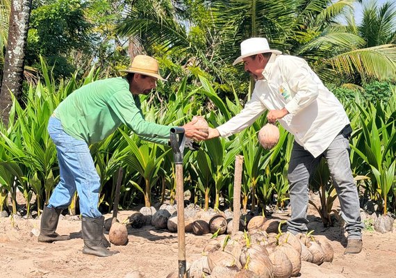 Coopaiba processa 6 milhões de frutos e amplia agroinstrústria em Alagoas