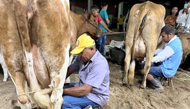 Dia de Campo capacita produtores rurais do agreste alagoano em manejo eficaz na bovinocultura de leite